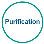 Purification